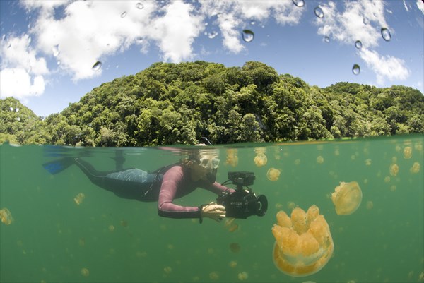 Karen Struas with video camera, Jellyfish Lake, Palau